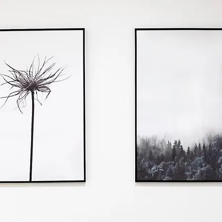 Getaway In Misericordia *